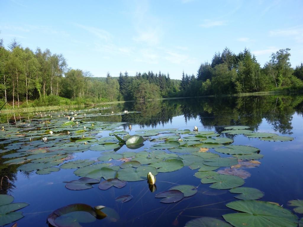 Craighindle Villa Newton Stewart Szoba fotó